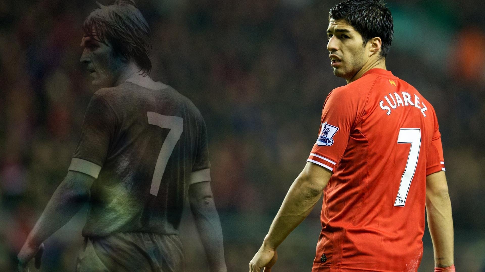 塞尔维亚国家队新教练上任，塞尔维亚籍主教练